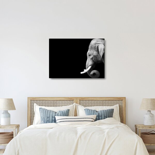 Tablou - Elefant (70x50 cm)