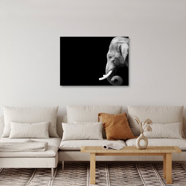 Tablou - Elefant (70x50 cm)
