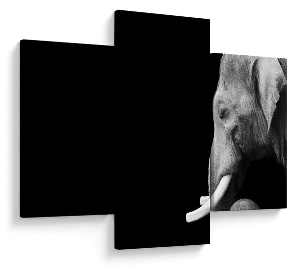 Tablou - Elefant (90x60 cm)