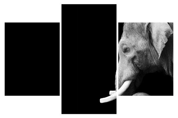 Tablou - Elefant (90x60 cm)