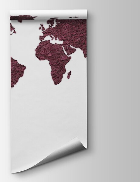 Fototapet Harta lumii, Fototapet hartă lumii, Fototapet populare, w02657v5 - Tapeko.ro