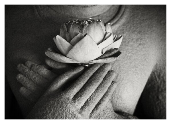 Tablou - Lotus în mâinile lui Buddha (70x50 cm)
