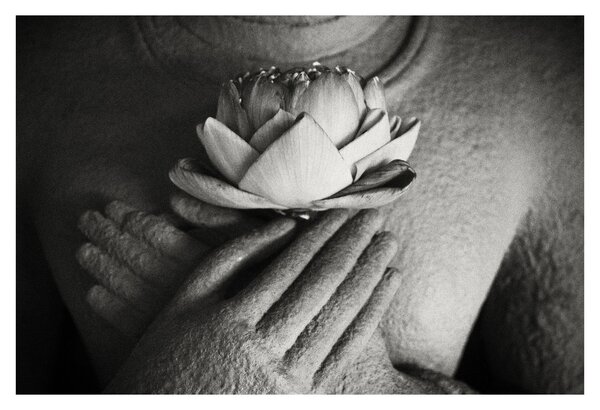Tablou - Lotus în mâinile lui Buddha (90x60 cm)
