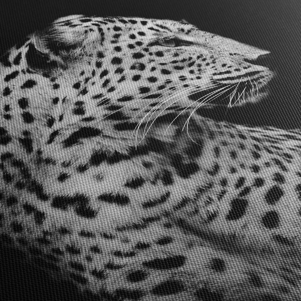Tablou - Leopardul (90x60 cm)