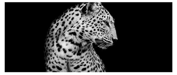 Tablou - Leopardul (120x50 cm)