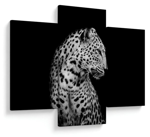 Tablou - Leopardul (90x60 cm)