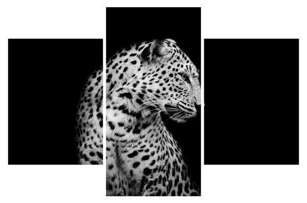 Tablou - Leopardul (90x60 cm)