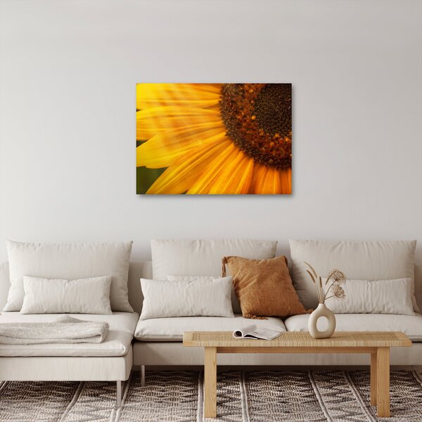 Tablou - Floarea-soarelui (70x50 cm)