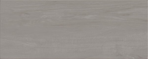 Faianta baie/bucatarie glazurata Albero ZBD 53008, lucioasa, aspect modern, gri, dreptunghiulara, grosime 9 mm, 50 x 20 cm