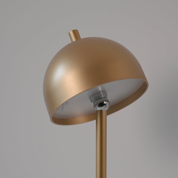 Schöner Wohnen Lampadar LED Bellis, aurie, IP54, reglabil, Auriu / Alamă, Camera de zi / sufragerie, Metal, Scandinavă