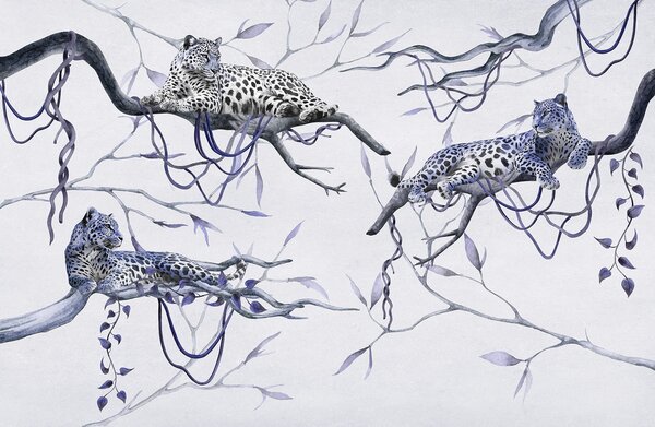 Fototapet Grup de leoparzi culcați pe ramuri, Fototapet animale, Fototapet populare, w03146v3 - Tapeko.ro