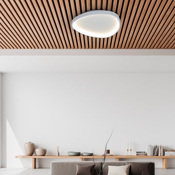 Näve Plafonieră LED Argesa Ø 60,5 cm, albă, CCT, telecomandă, reglabil, Alb, Camera de zi / sufragerie, Metal, Modern
