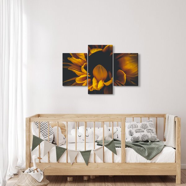 Tablou - Floarea-soarelui în fundal negru (90x60 cm)