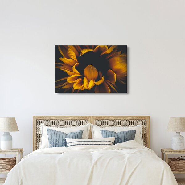 Tablou - Floarea-soarelui în fundal negru (90x60 cm)