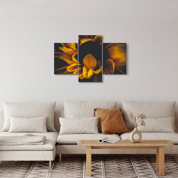 Tablou - Floarea-soarelui în fundal negru (90x60 cm)