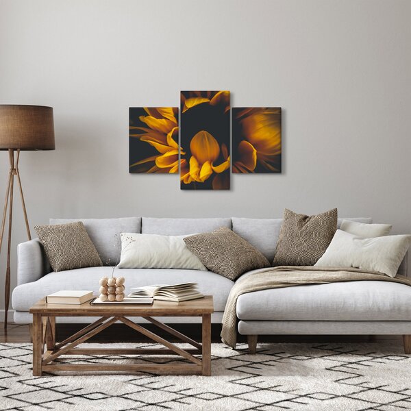 Tablou - Floarea-soarelui în fundal negru (90x60 cm)