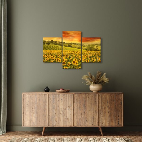 Tablou - Câmp de floarea-soarelui (90x60 cm)