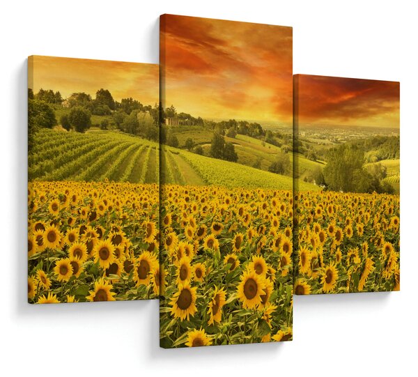 Tablou - Câmp de floarea-soarelui (90x60 cm)