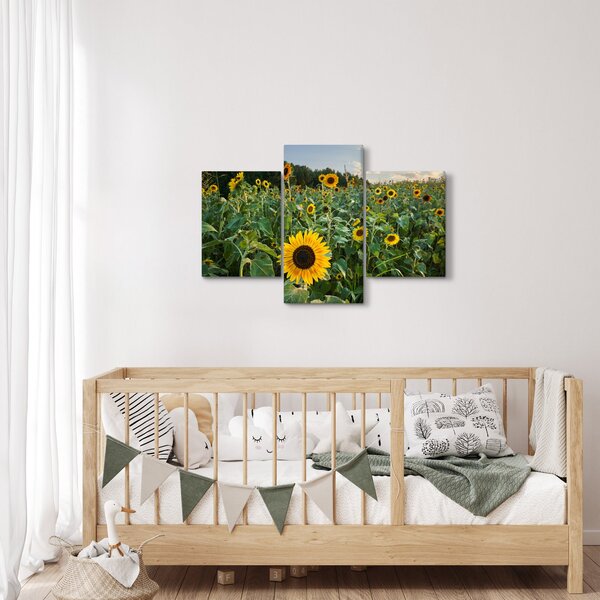 Tablou - Câmpul de floarea-soarelui II. (90x60 cm)