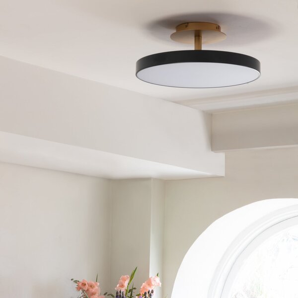 UMAGE plafonieră LED Asteria UP PLUS, antracit Ø 60 cm CCT, reglabil, Negru, Camera de zi / sufragerie, Metal, Design