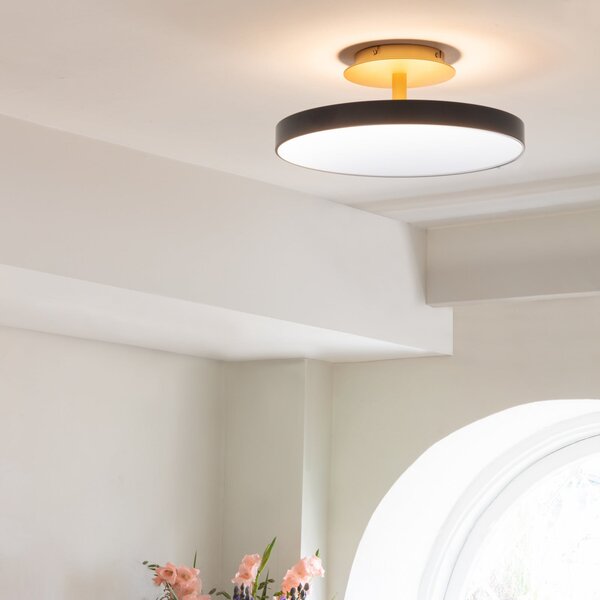 UMAGE plafonieră LED Asteria UP PLUS, antracit Ø 43 cm CCT, reglabil, Negru, Camera de zi / sufragerie, Metal, Design