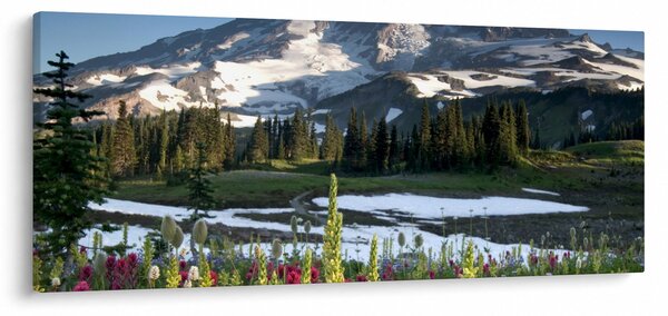 Tablou - Muntele Rainier (120x50 cm)