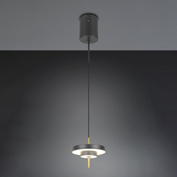 Trio Lighting Lampă suspendată LED Keaton negru/auriu, Ø 20 cm metal CCT, reglabil, Negru, Camera de zi / sufragerie, Metal
