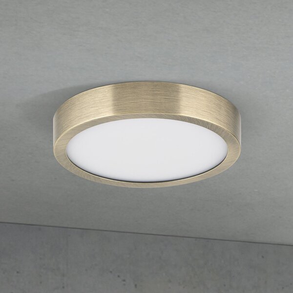 ORION Plafonieră LED Disc, culoare alamă antică, Ø 14 cm, CCT, reglabil, Bronz / Alamă Veche, Camera de zi / sufragerie, Aluminiu, Modern