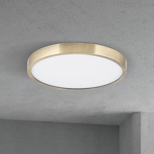 ORION Plafonieră LED Disc, culoare alamă antică, Ø 24 cm, CCT, reglabil, Bronz / Alamă Veche, Camera de zi / sufragerie, Aluminiu, Modern