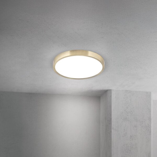 ORION Plafonieră LED Disc, culoare alamă antică, Ø 24 cm, CCT, reglabil, Bronz / Alamă Veche, Camera de zi / sufragerie, Aluminiu, Modern