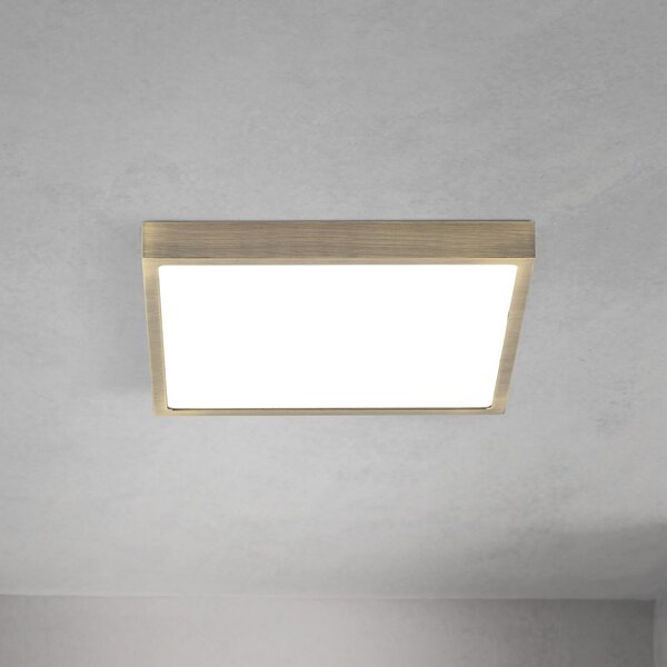 ORION Plafonieră LED pentru tavan Disc, culoare alamă antică, lungime 24 cm, CCT, reglabil, Bronz / Alamă Veche, Camera de zi / sufragerie, Aluminiu, Modern