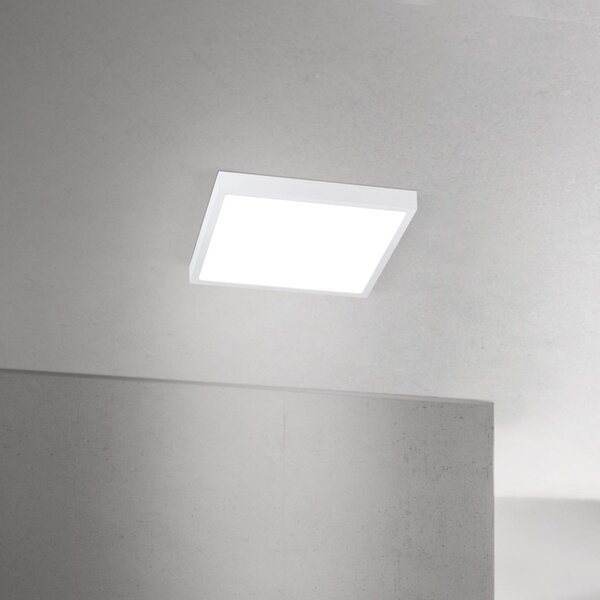 ORION Plafonieră LED pentru tavan Disc, albă, lungime 24 cm, CCT, metal, reglabil, Alb, Camera de zi / sufragerie, Aluminiu, Modern