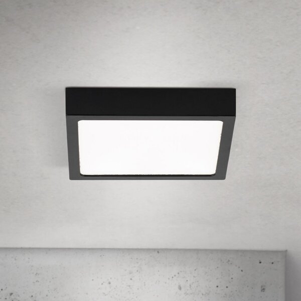 ORION Plafonieră LED Disc, negru Lungime 14 cm, CCT Metal, reglabil, Negru, Camera de zi / sufragerie, Aluminiu, Modern