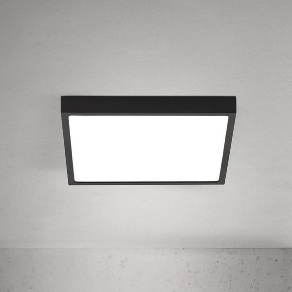 ORION Plafonieră LED pentru tavan Disc, negru Lungime 24 cm, CCT Metal, reglabil, Negru, Camera de zi / sufragerie, Aluminiu, Modern