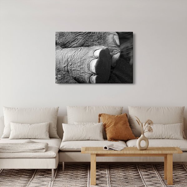 Tablou - Picior de elefant (90x60 cm)