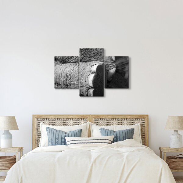 Tablou - Picior de elefant (90x60 cm)