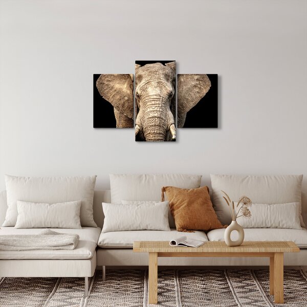 Tablou - Elefant african (90x60 cm)