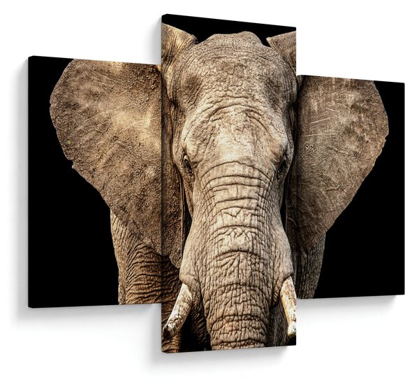 Tablou - Elefant african (90x60 cm)