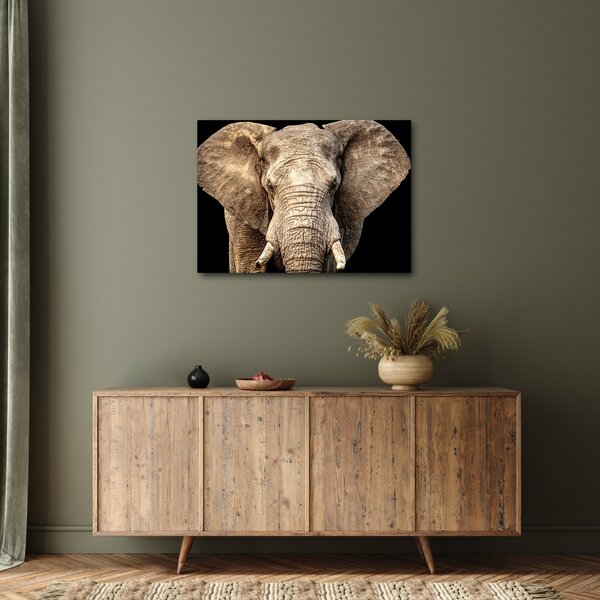 Tablou - Elefant african (70x50 cm)