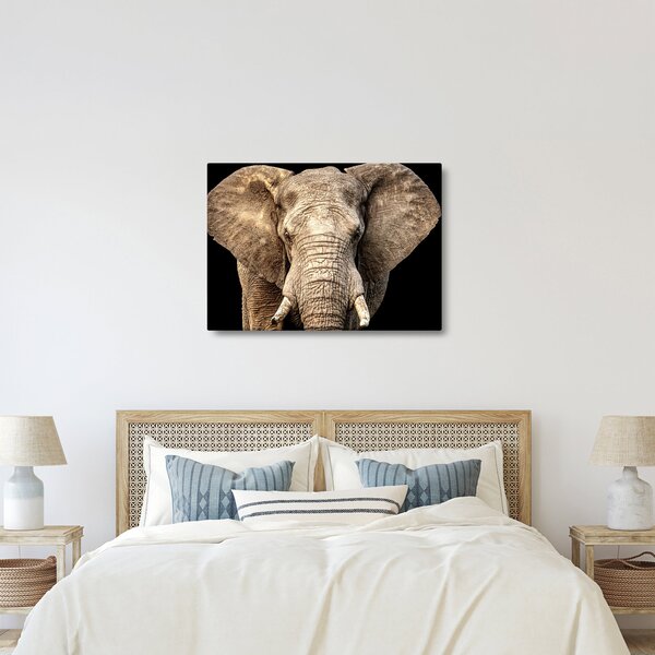 Tablou - Elefant african (70x50 cm)