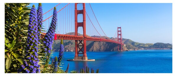 Tablou - Podul Golden Gate, San Francisco (120x50 cm)