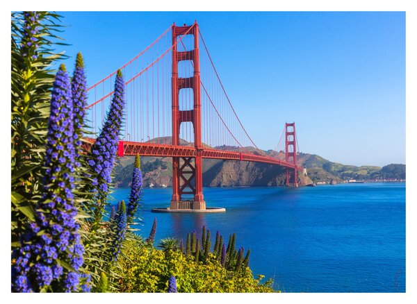 Tablou - Podul Golden Gate, San Francisco (70x50 cm)