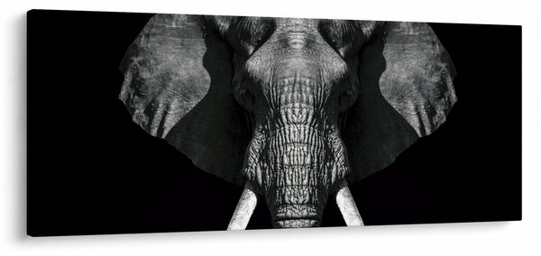 Tablou - Elefant pe fundal negru (120x50 cm)