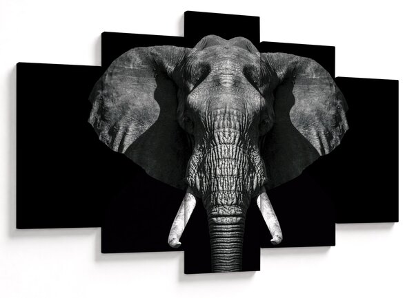 Tablou - Elefant pe fundal negru (150x105 cm)