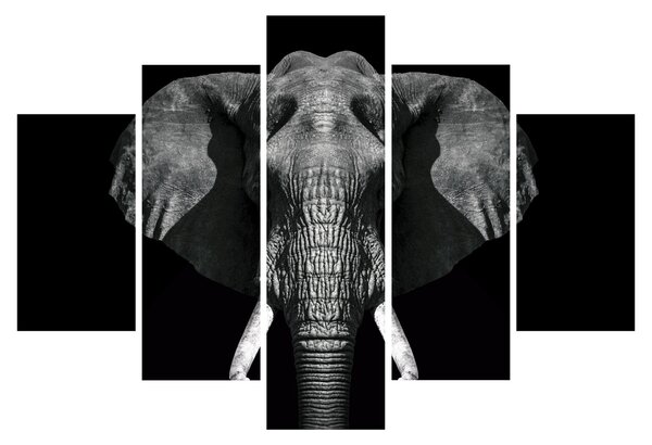 Tablou - Elefant pe fundal negru (150x105 cm)