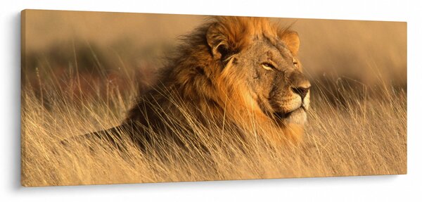 Tablou - Parcul Național Etosha (120x50 cm)