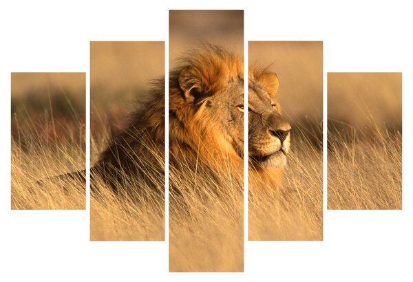 Tablou - Parcul Național Etosha (150x105 cm)