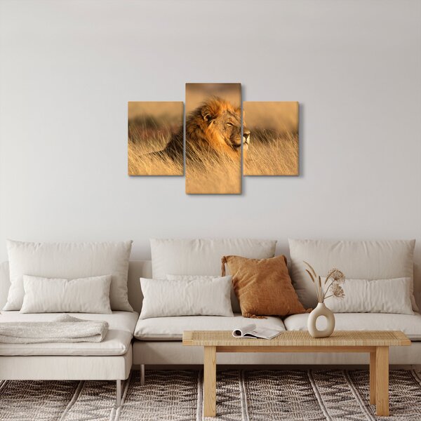 Tablou - Parcul Național Etosha (90x60 cm)