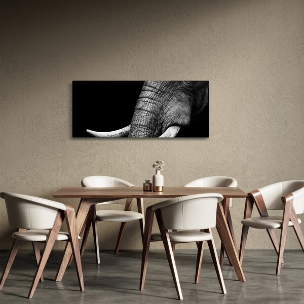 Tablou - Colți de elefant (120x50 cm)