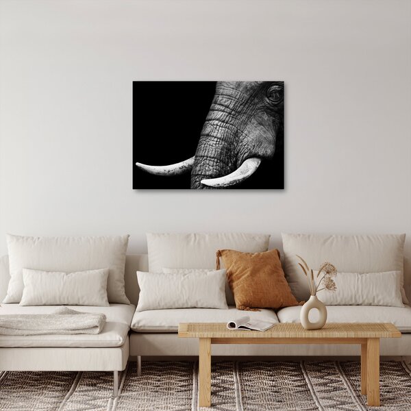 Tablou - Colți de elefant (70x50 cm)